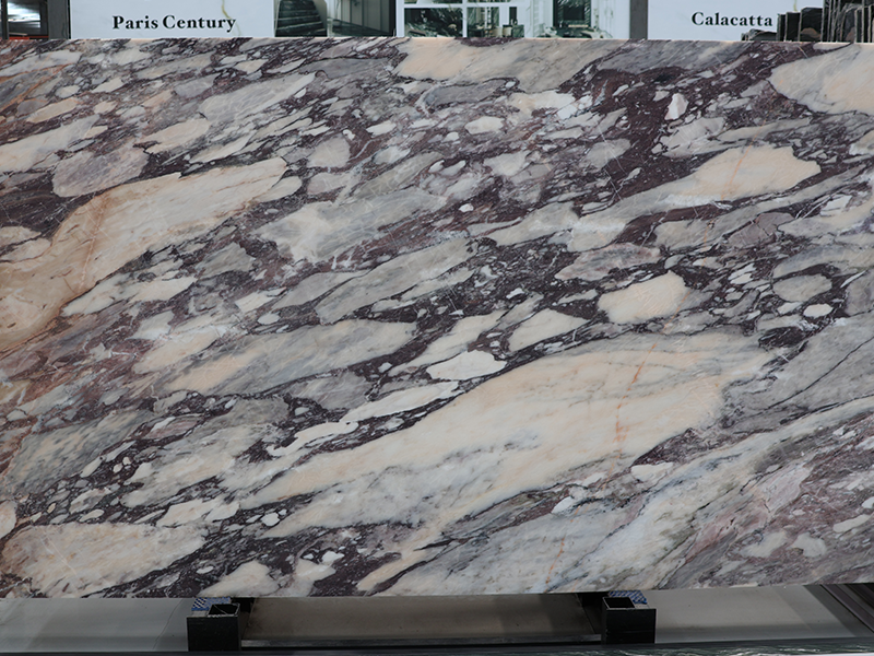 Portugal Calacatta Viola Marble Slab For Bathroom Wall Tiles/ Vanity Tops
