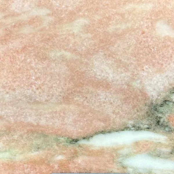 挪威蔷薇